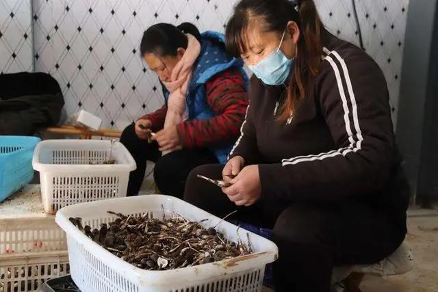 微信图片_20201216103121.jpg