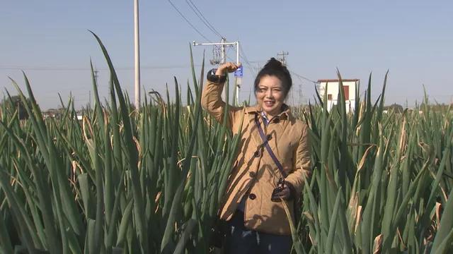 微信图片_20201218093024.jpg