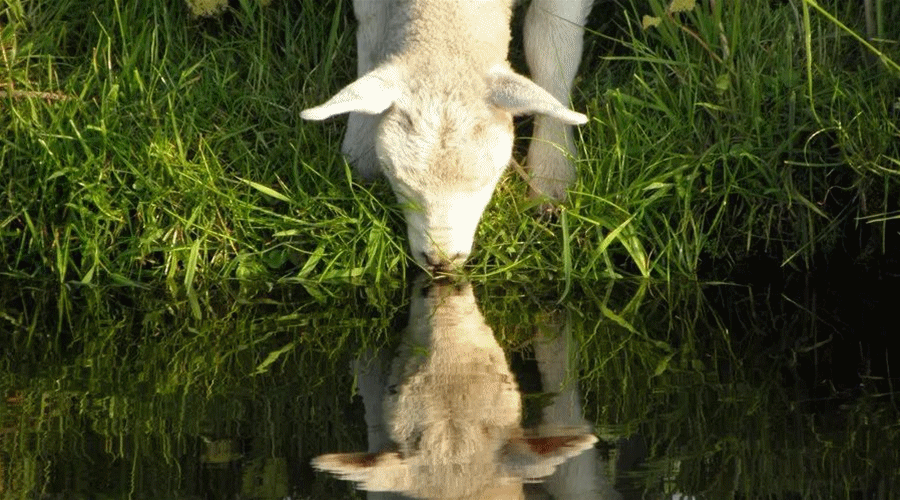 133629degelgh8h62z9eh0.gif
