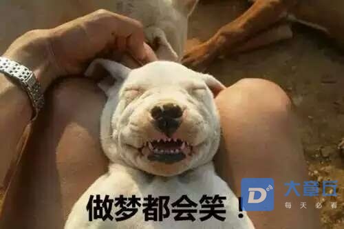 front2_0_FlLPbBuFXZTbiP_RimWLlIybnFEA.1608914260.jpg