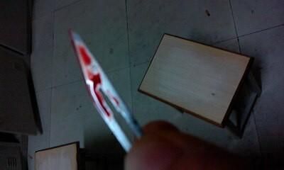 u=1921051231,3538338521&amp;fm=26&amp;gp=0.jpg