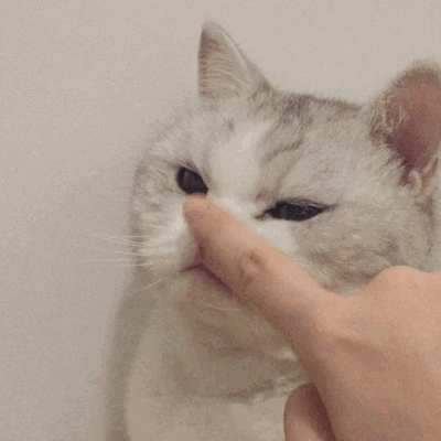 src=http_//b-ssl.duitang.com/uploads/item/201901/21/20190121042824_rhhnb.thumb.4.gif