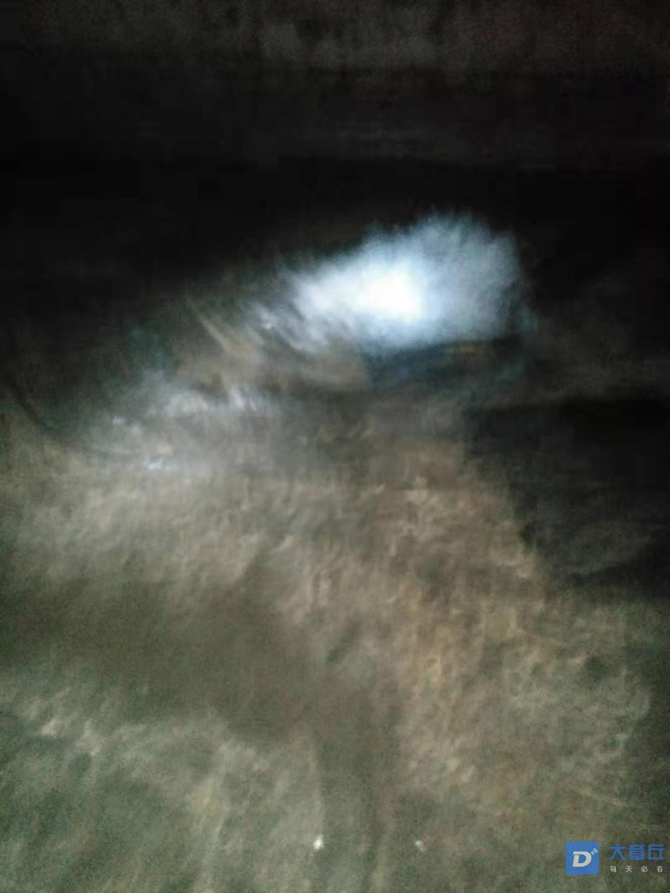 front2_0_Fke6HF61gJbV77sonEaY4lD1o0la.1610377573.jpg