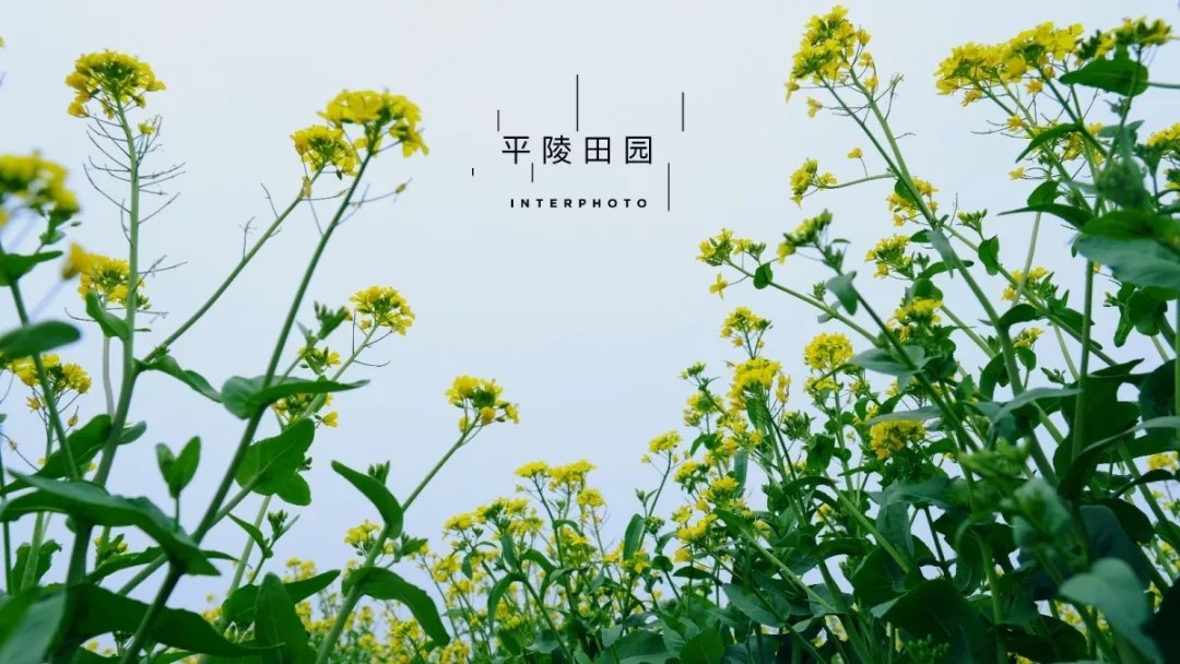 微信图片_20210112085534.jpg