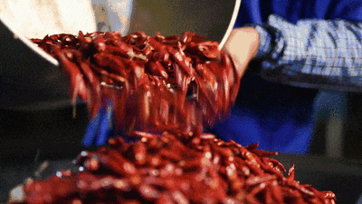 134344ofd3ct1aoh1a0obw.gif