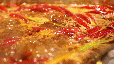 134344p0aor4zgoy6a146z.gif