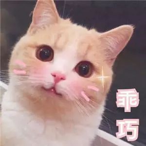 61fb93964d5b49059981050cbd0f528d.jpeg
