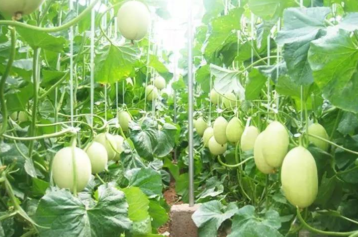 微信截图_20210120091944.png