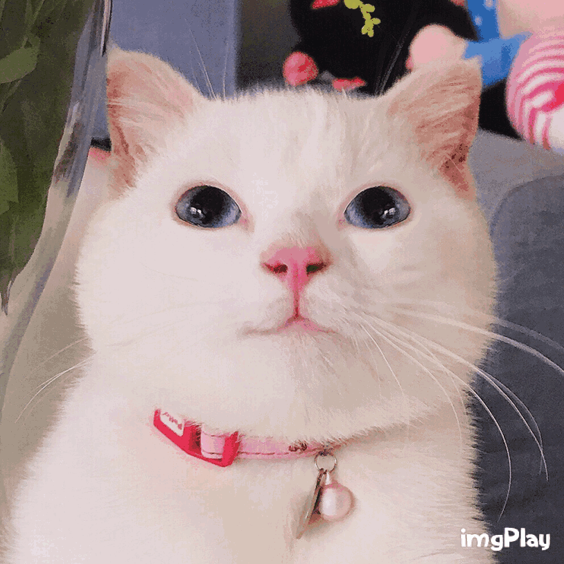 637686a367b54f88ac127c7556e69c84.gif