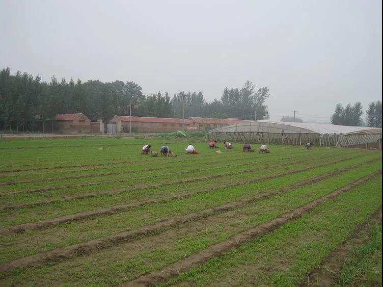 微信图片_20210125084453.jpg