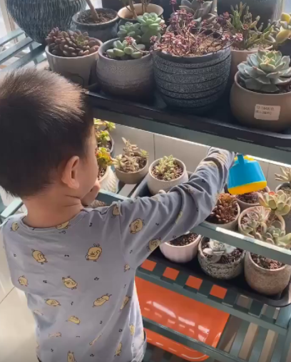微信截图_20210129215812.png