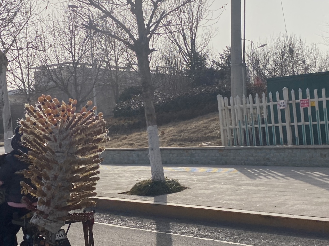 front1_0_FnPPBxHeMH0Lx49C-ILgAEcLINMt.1612144997.jpg