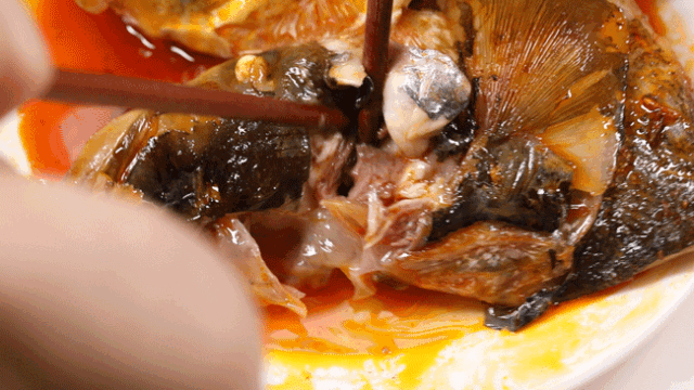 110427d13pt578bdoooopo.gif
