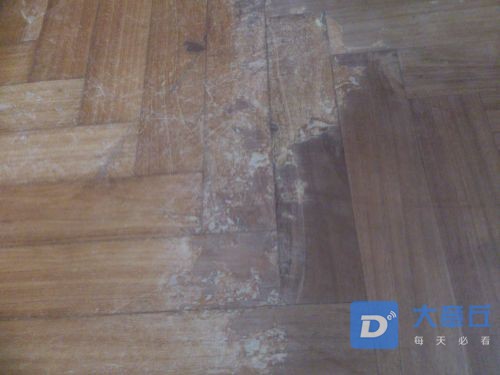 20190127132643-2064421992_jpeg_4000_3000_1203721.jpg