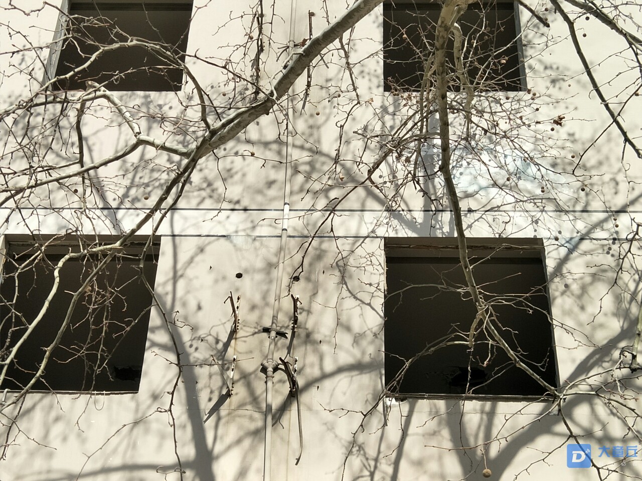 front2_0_FmAnJ-Fbdbj_qA_3CqP1zcbgkFtn.1613804684.jpg