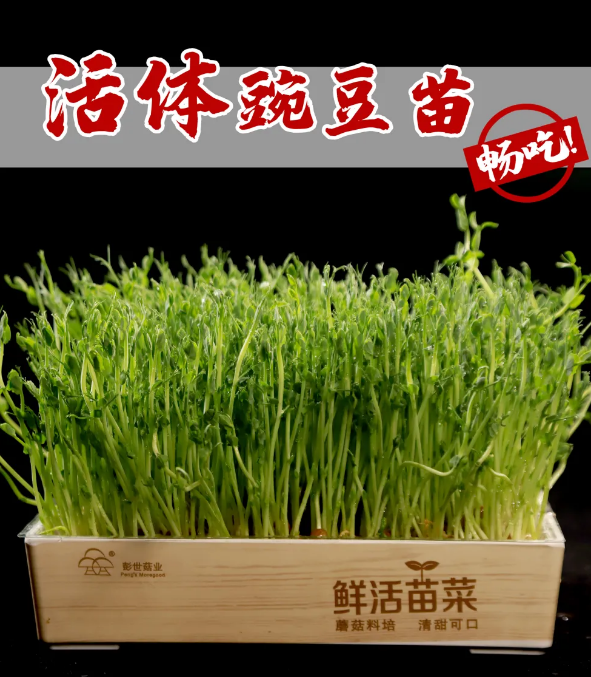 微信截图_20210316171943.png