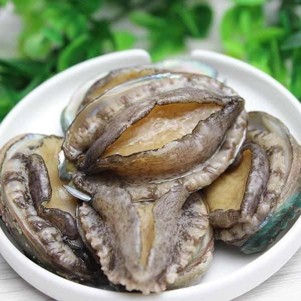 微信图片_20210319133217.jpg