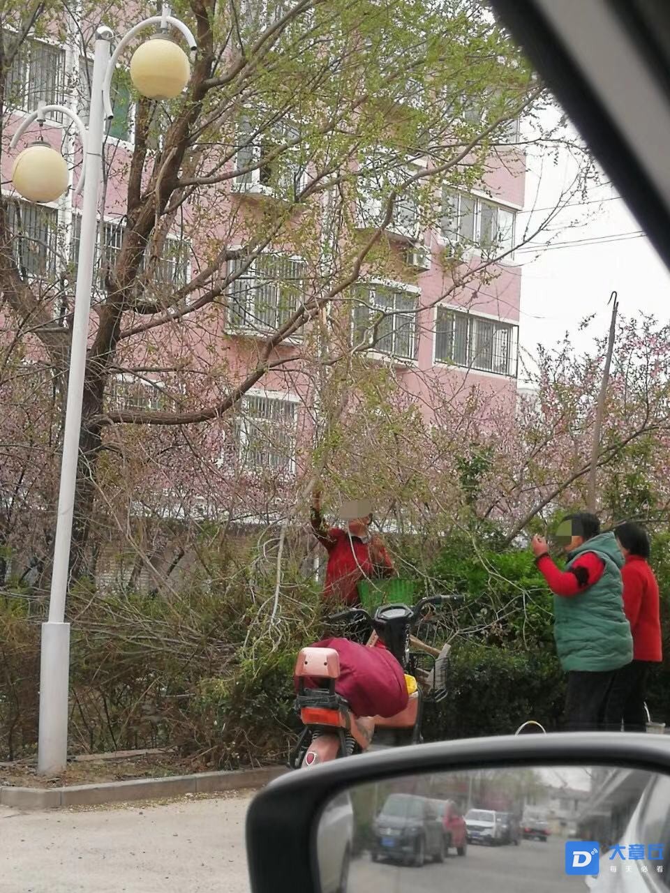 微信图片_20210329134023.jpg