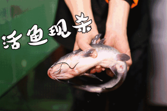 112628gy2xpzvwp79jk9pk.gif