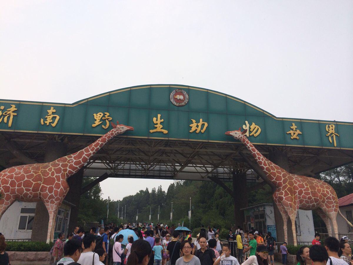 96c8b886cf134aeb83ae9c6449c184cb.jpg