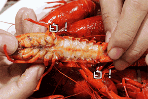 112403y7w7he6530n771n6.gif