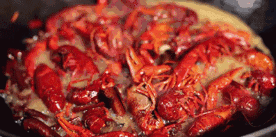 105903lcmjjgwvwsxdj4w6.gif