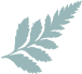 133534pbxi7eppigfd7x2l.png