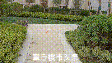165521ldrdoe55ctoy5dh7.gif