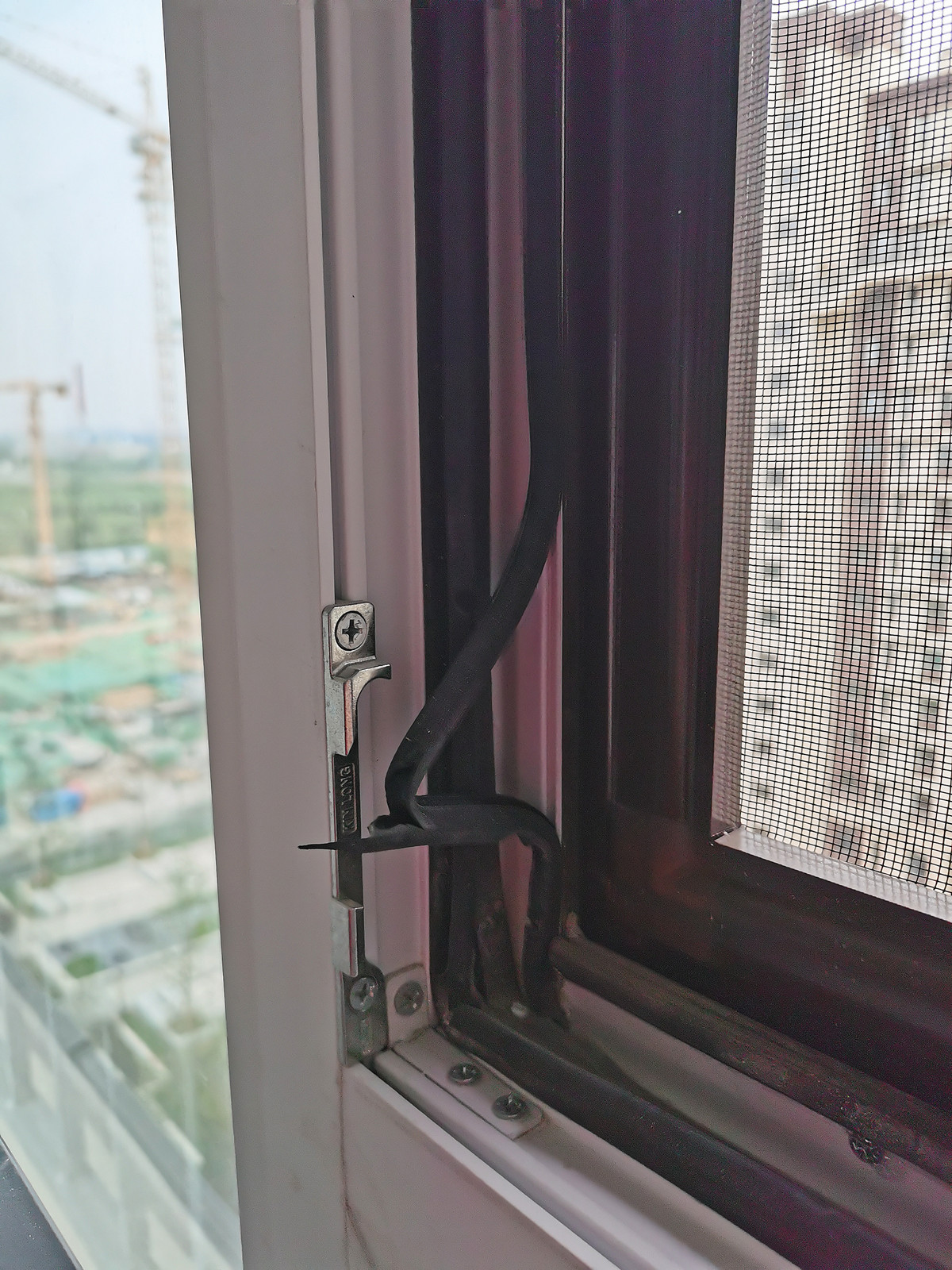 IMG_20210425_154523_副本.jpg