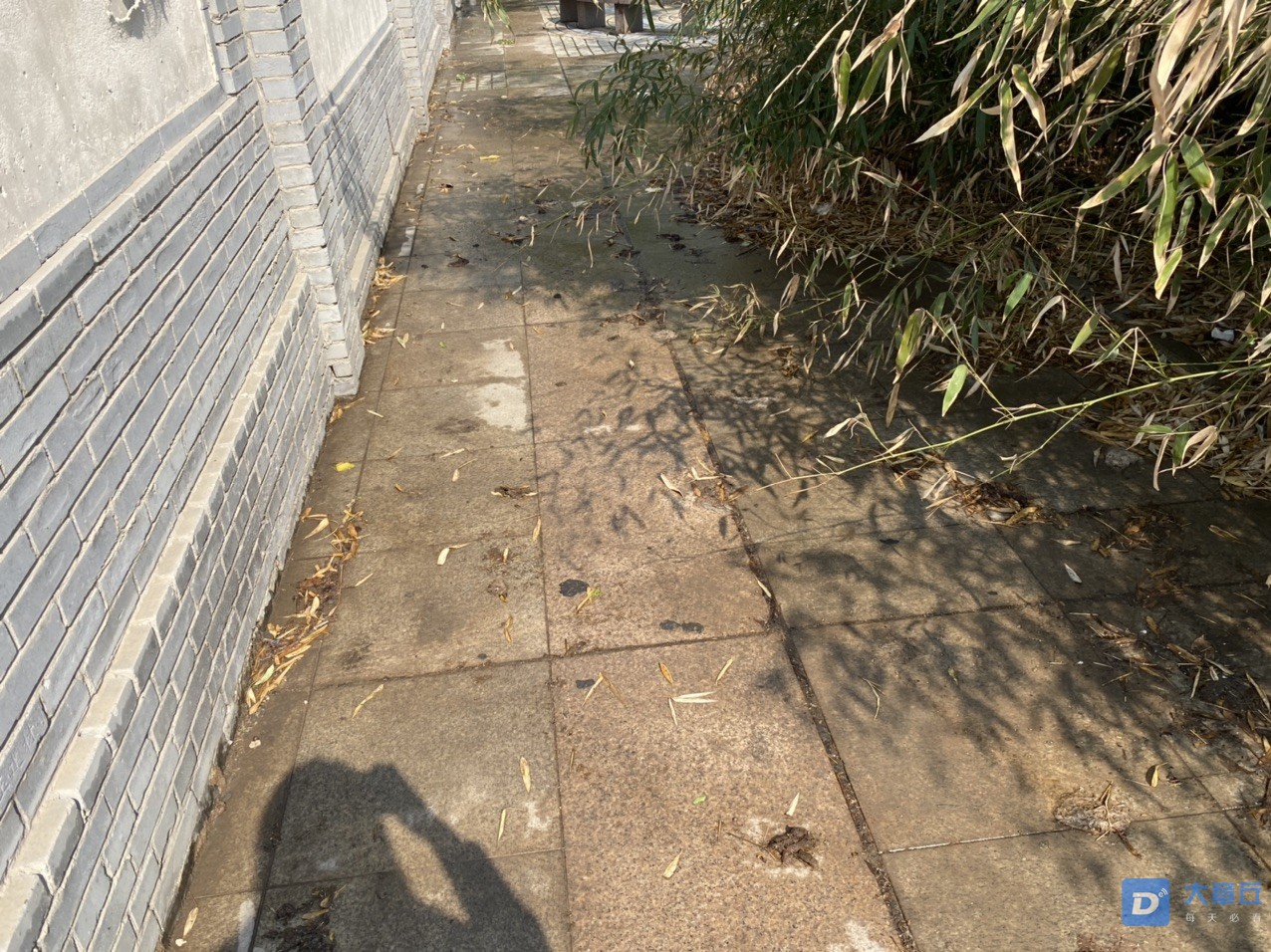 front1_0_FsraVNqLoG-gAf29JluSQ6pj7VNz.1619769590.jpg