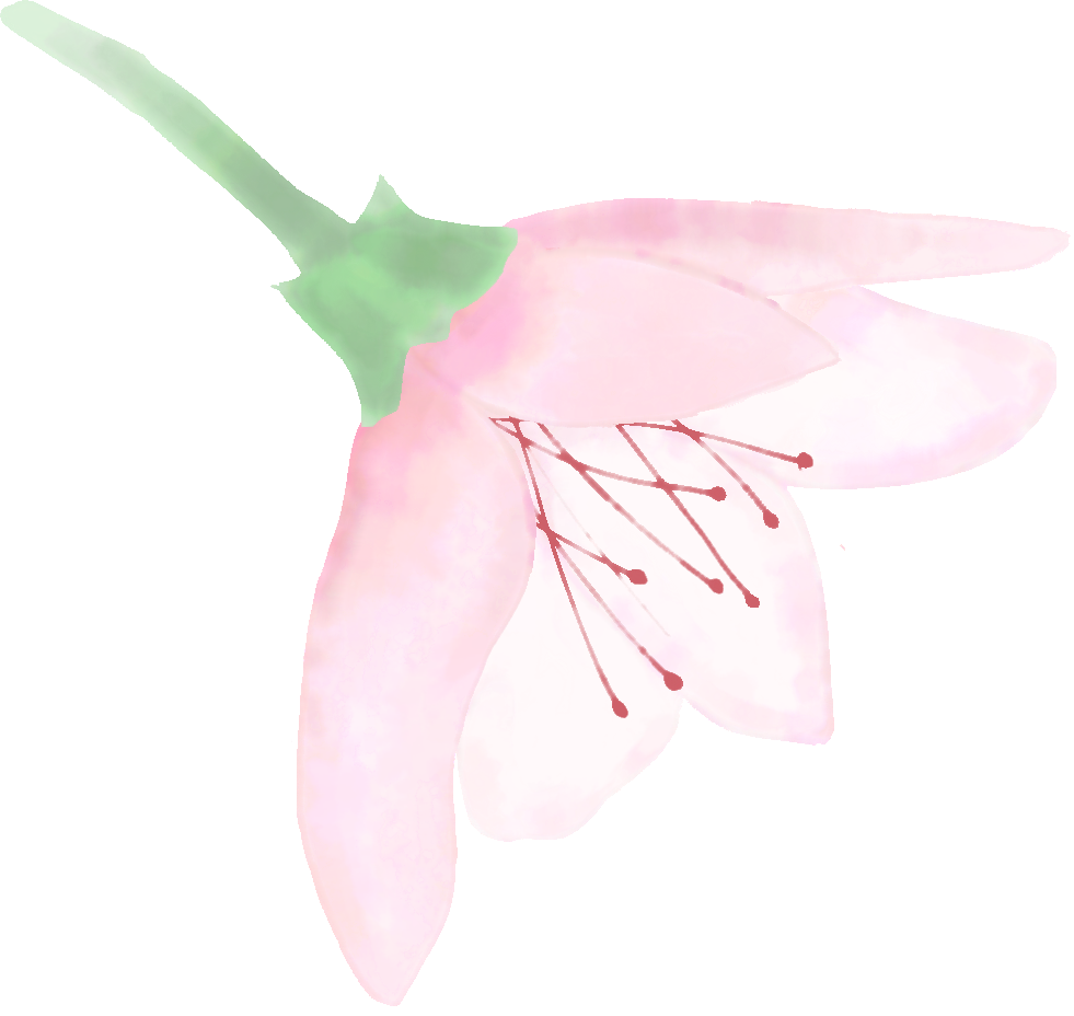 160048krgzn7f80odpssxx.png