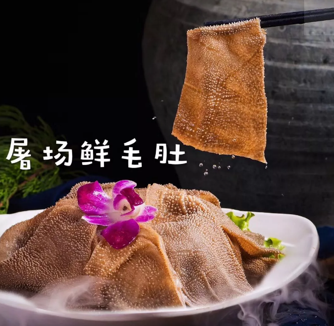 163800csne284hne344ep1.png