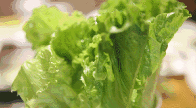 163800dk3t58nyt4nhn833.gif