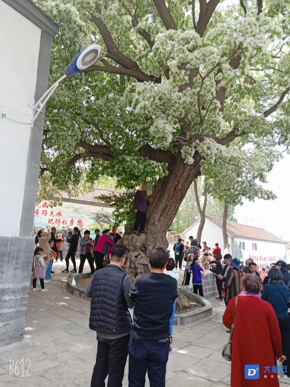 微信图片编辑_20210505084055.jpg