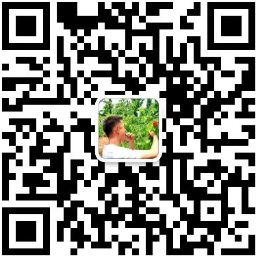 095622fgwkqo3ltjbtfksw.png
