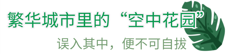 100620qhsgzencm8cs17tq.png