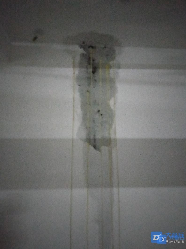 front2_0_Fkxlxj0b_XgaikDLf0U4CoAQ1iWk.1620919082.jpg