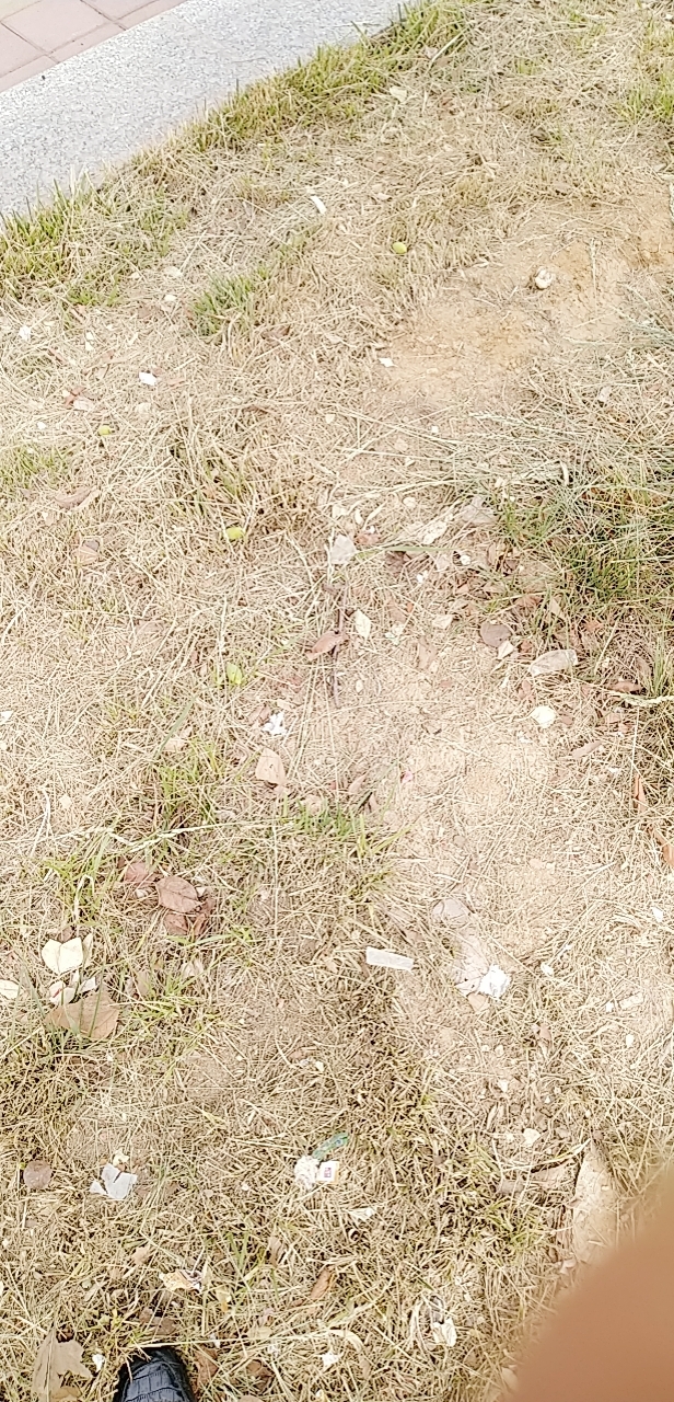 front2_0_FriZpN54uR5nYT1EgFAOzo4IKNB_.1621038415.jpg