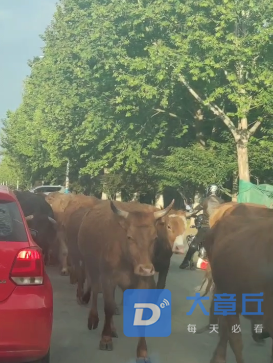 微信截图_20210518114745.png