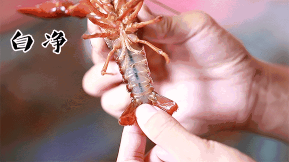微信图片_20210520101634.gif