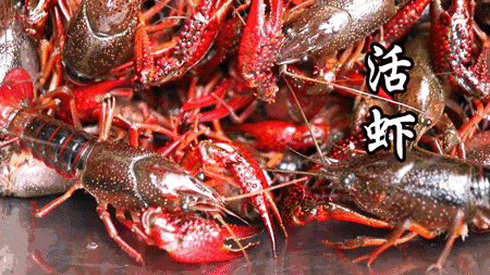 微信图片_20210520101641.gif