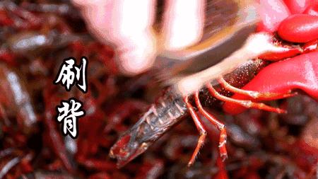 微信图片_20210520101645.gif