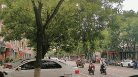 141557cl193khzzqhok4ol.gif