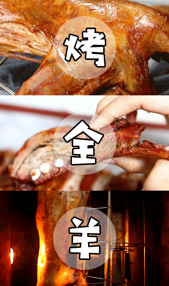 114142r5ooc6g8oobtg9s1.gif