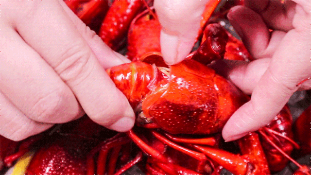 113114ls3r9333u4snnbjj.gif