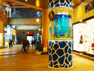155229h7oxnhswxnf5nfgh.gif