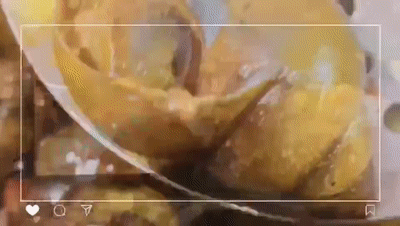123759g2mmms5mq1ii5mbs.gif
