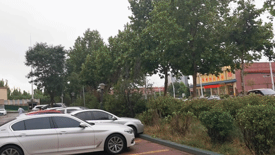 124708vrryp5p3rvznj5vr.gif