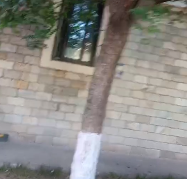 微信截图_20210606100227.png