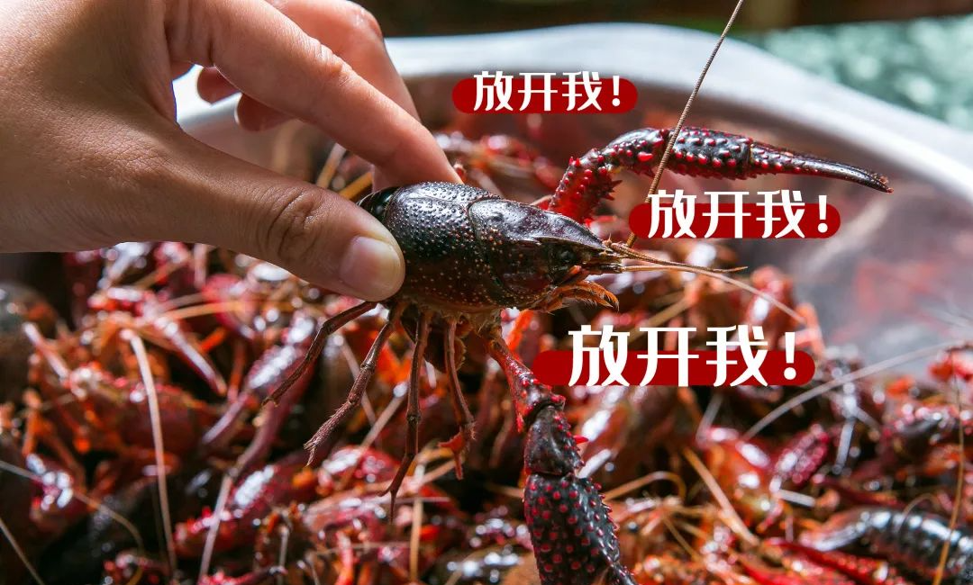 135735yuqfuhgfykyffqqw.png